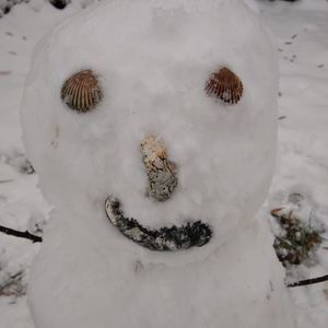 Meet your Posher, Sheryl